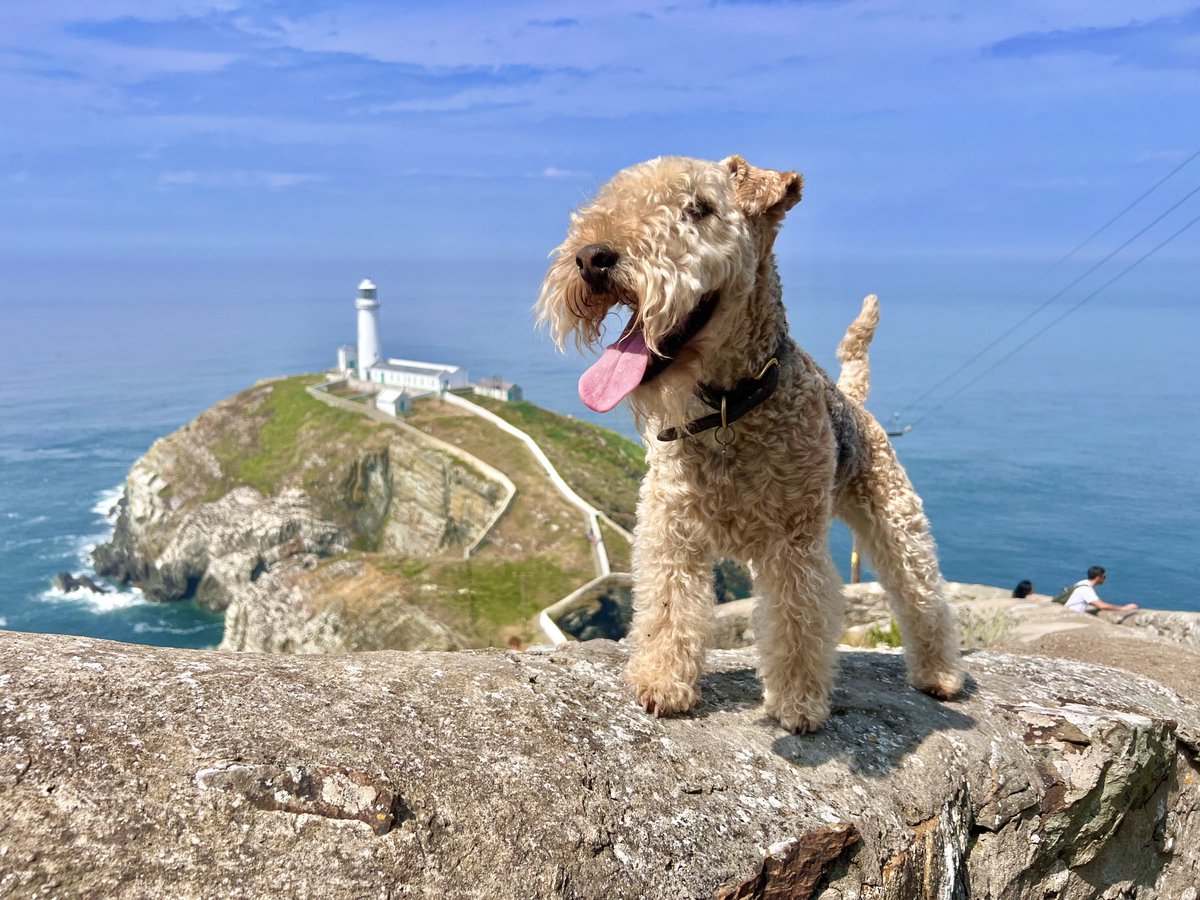 Here I am ……. Southstack Lighthouse 💋