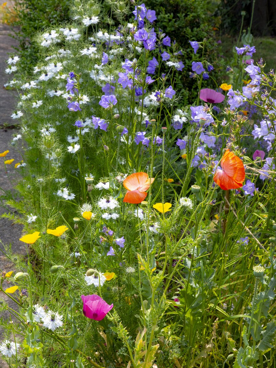 Lazlo Uzala tweet media