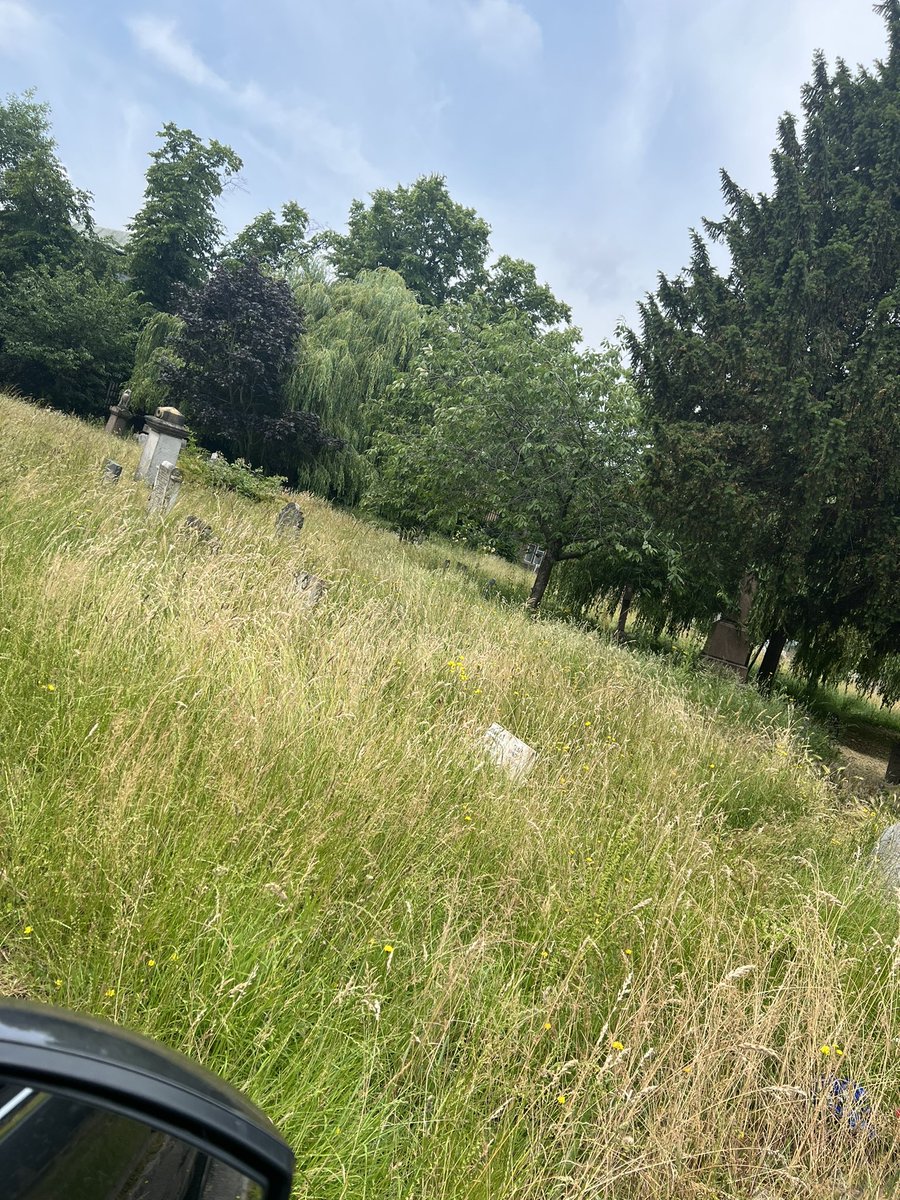 EmmaHeff83's tweet photo. @westnorwoodnews @lambeth_council 
This is very sad I have had to hunt for my dads grave Kim West Norwood cemetery as no now May is still going sting in June!! The elderly and disabled can’t get to graves it is very upsetting, https://t.co/NzWlck6cYQ