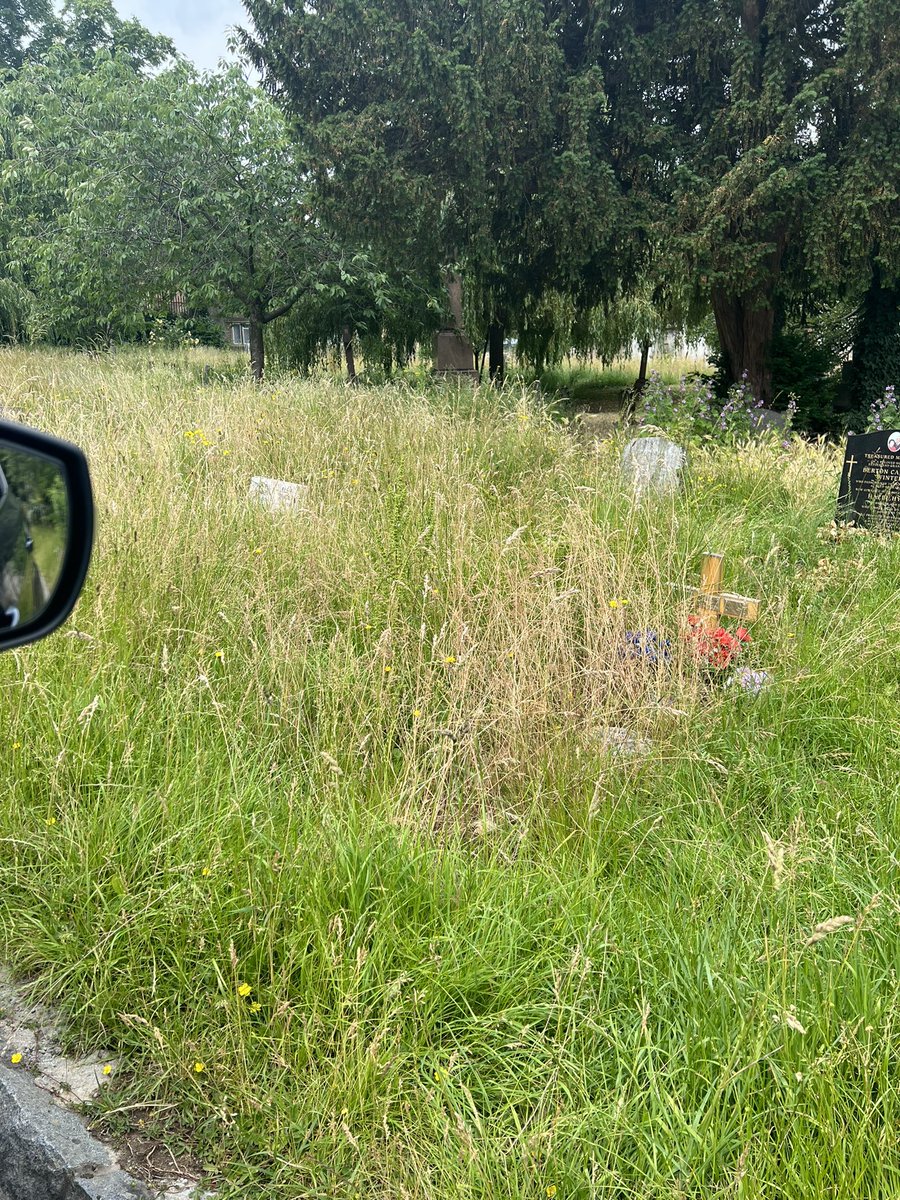 EmmaHeff83's tweet photo. @westnorwoodnews @lambeth_council 
This is very sad I have had to hunt for my dads grave Kim West Norwood cemetery as no now May is still going sting in June!! The elderly and disabled can’t get to graves it is very upsetting, https://t.co/NzWlck6cYQ