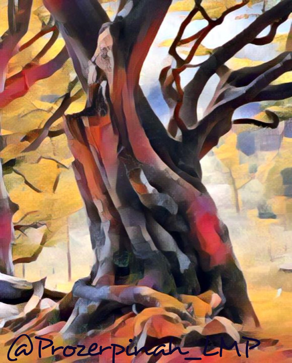 prozerpinah_lmp's tweet photo. #NFTart -"The tree of 8 wish"-1 ofMY DP from my series-"Forest Sketches" of art 4forests' charities...๐จ๐ผ
Also will be #available on #OpenSea or on another #NFTplatform
HopeUall will likeIt
#art,#NFT, #ProzerpinahLMP,#charity,#NFTcharity ,#gallery,#rare,#rareNFT,#protectforest https://t.co/m6YVSADqSA