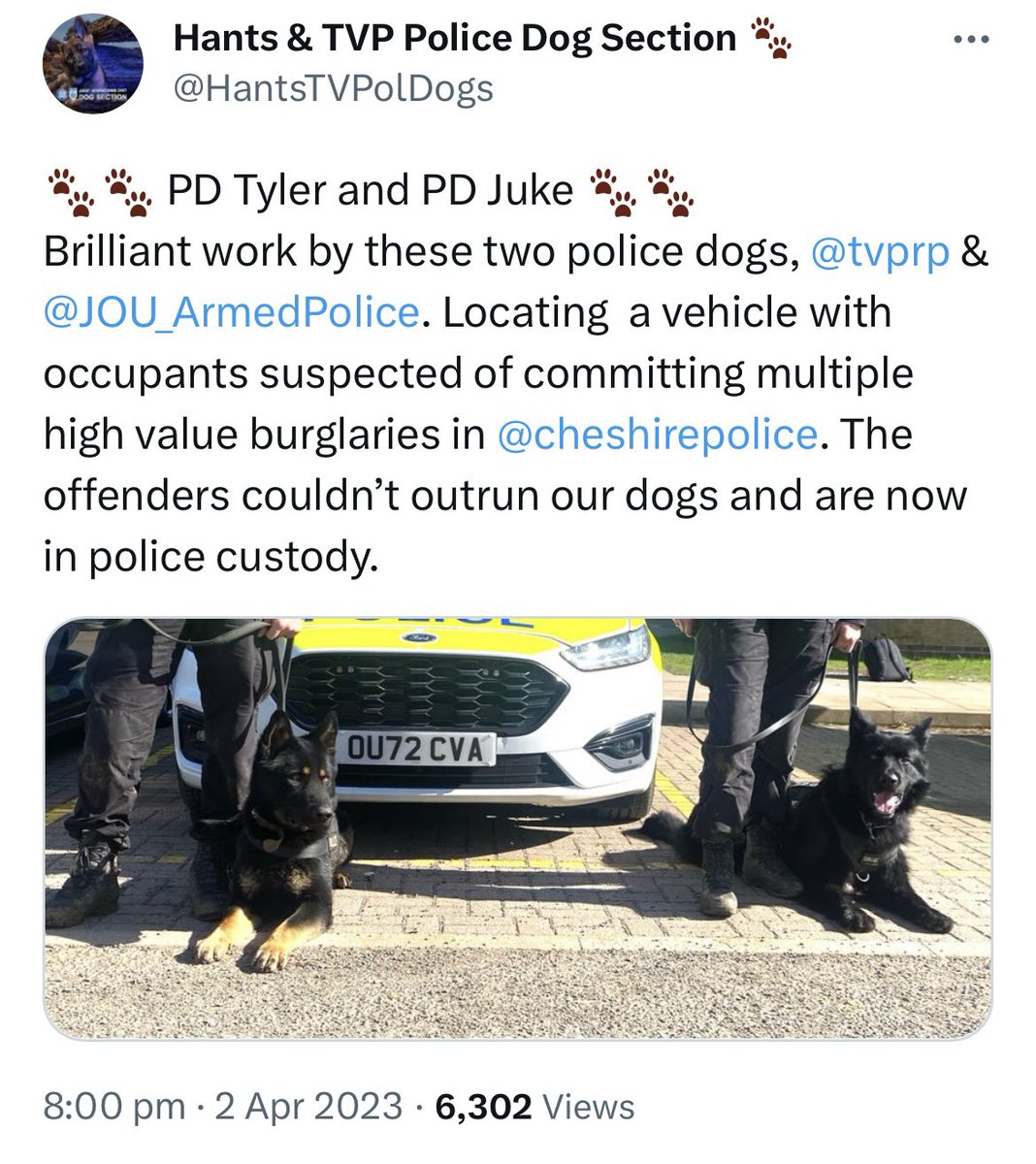 🐾UPDATE🐾

Remember the below story we brought you with @tvprp and @JOU_ArmedPolice…

Well there is an update…

cheshire.police.uk/news/cheshire/…

👏🏻

#goodwork #teamwork #policedogs #thamesvalleypolice #germanshepard #thenoseknow #police #policek9