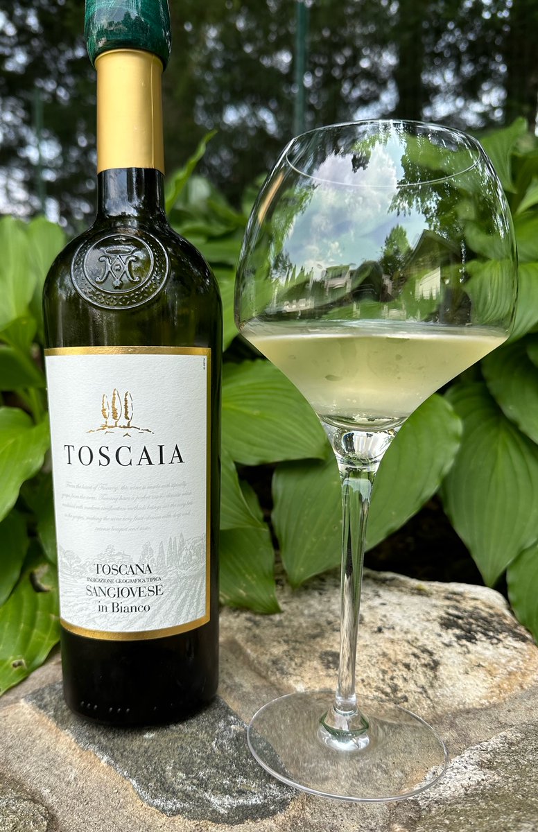 Here is what was #inmyglass - 2021 La Loggia Toscaia Sangiovese in Bianco Toscana IGT - white wine made from Sangiovese grapes @lebonvinfr @JohnMFodera @CambWineBlogger @SteveKubota @dallaswinechick @theswirlingderv @savortheharvest @wineworldnews @Constan70997526 @TheWineCruUK