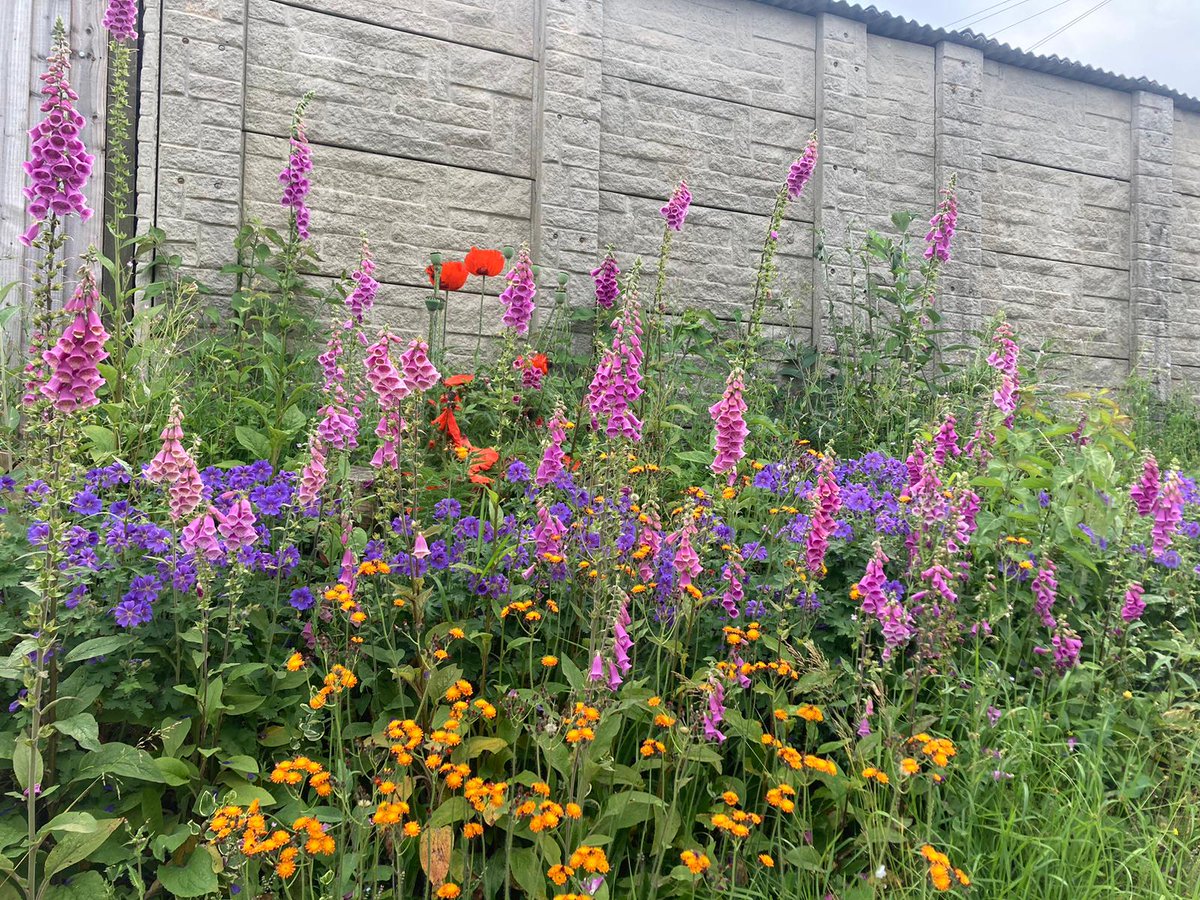 Jendeavour's tweet image. #TinyJoys