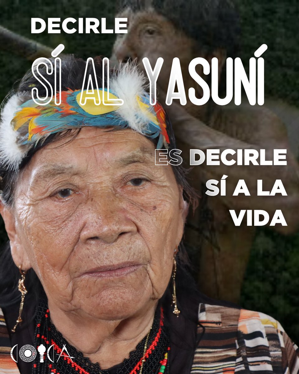 Desde los majestuosos árboles hasta las diminutas criaturas que lo habitan, cada ser vivo en el Yasuní tiene un papel fundamental en el equilibrio de la vida en el planeta 🌎 Somos los defensores de la #amazonía , somos defensores de la vida 🌱 #somoscoica