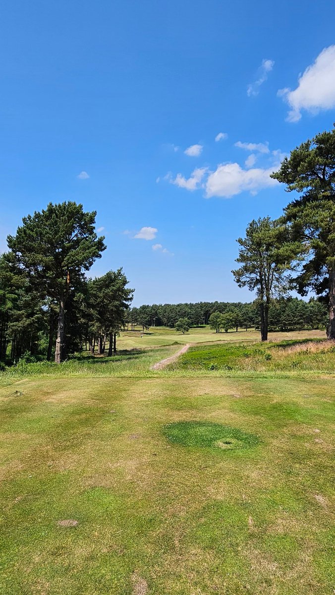 Dyggs Tour 2023 done... <a href="/GolfTrentham/">Trentham Golf Club</a>, <a href="/whgc1886/">Whittington Heath GC</a> &amp; <a href="/BeauDesertGolf/">Beau Desert Golf Club</a> were 3 brilliant courses. The conditioning was amazing, and you should all be rightly proud of your venues, they're a credit to the staff. Thanks for the very warm welcome 👍👏🏻😎🌞🏌🏽‍♂️⛳️💪🏼