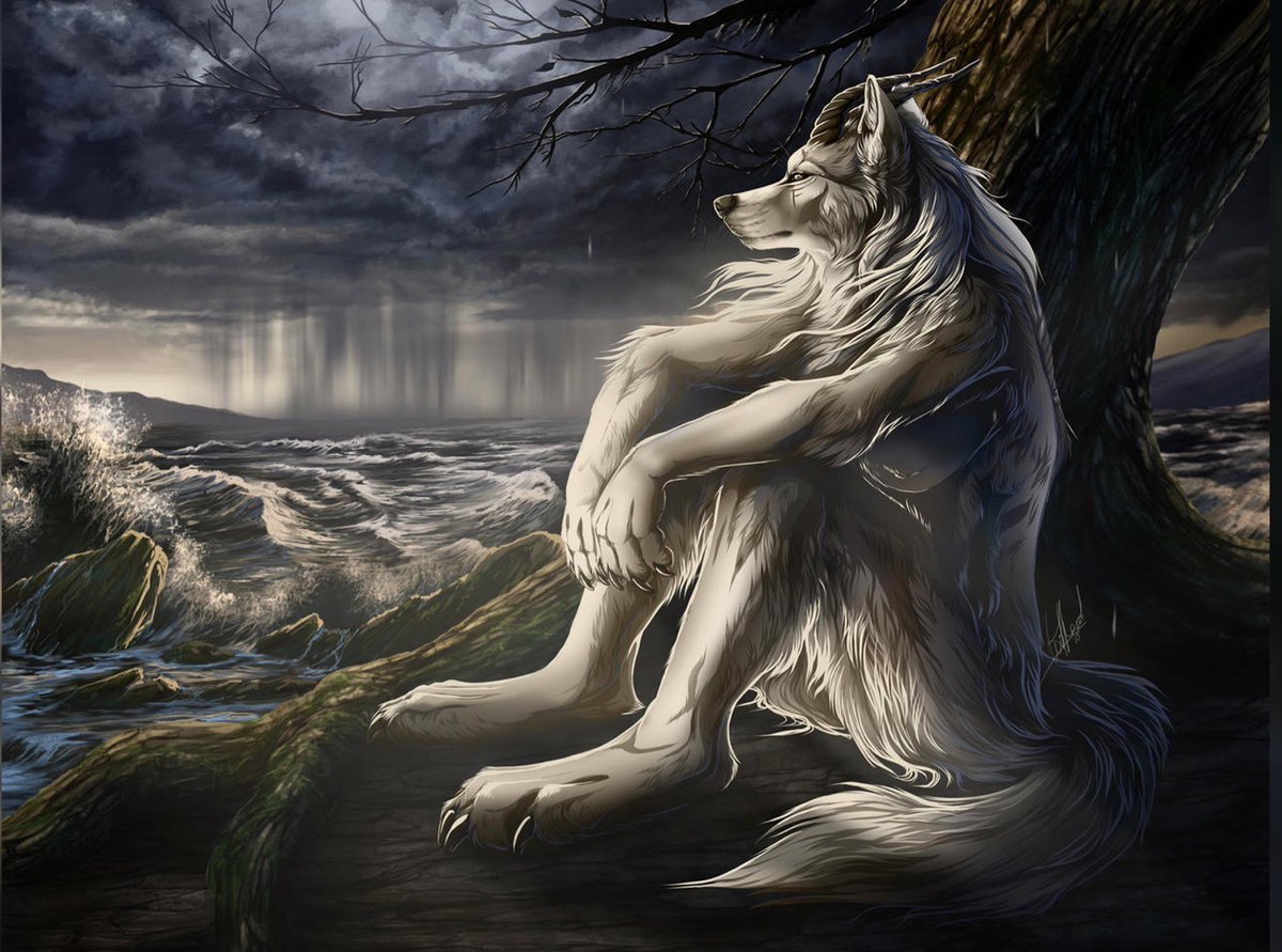 ‘Every Breaking Bad frame in order’ is in the last episode of the show.