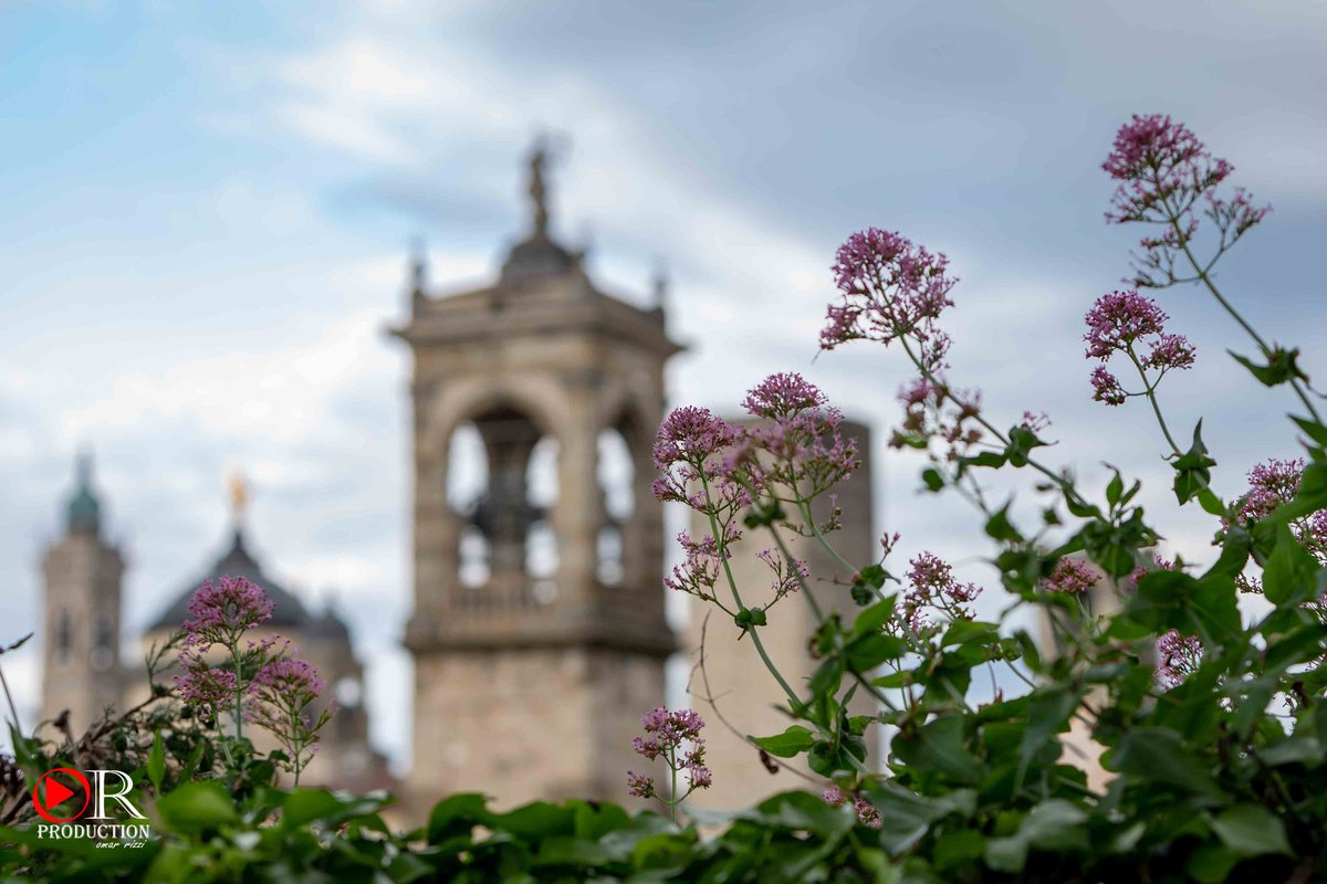 orproductionbg's tweet photo. Panorami di Bergamo 

Landscape of Bergamo 

#bergamo
#bergamoalta
#urban
#cityscape 
#street
#outdoors
#inviaggio
#travel
#photo
#bergamocapitale2023
#bgbs2023 https://t.co/sYF7z0fU6L