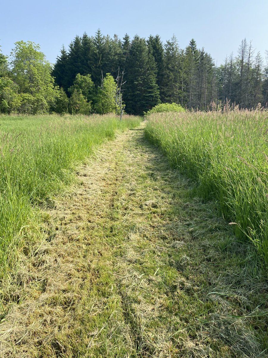 ⁦<a href="/ExperienceKING1/">Experience KING</a>⁩ Thank you Township of King for clearing the King City trails despite the very wet conditions.
