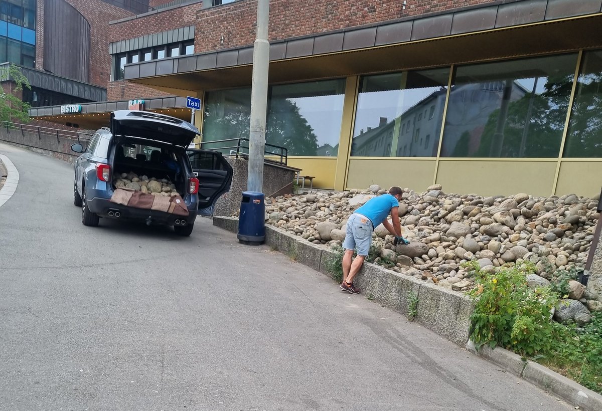 Hvorfor kjøpe stein når man kan plukkes gratis fra kommunens bed? 🤷‍♂️