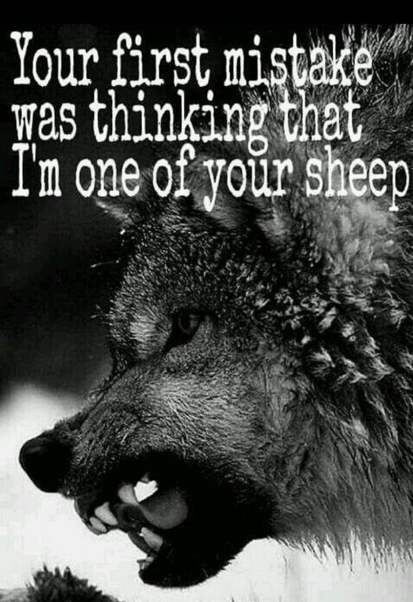 VotifyNow's tweet photo. Happy Sunday🙏. Be strong and Be Brave #VotifyNow #ElectionInterference #Strengthenourelections #Android #iPhone #DownloadItNow #Election2024🇺🇸🇺🇸🇺🇸 https://t.co/1XV75dQhQo