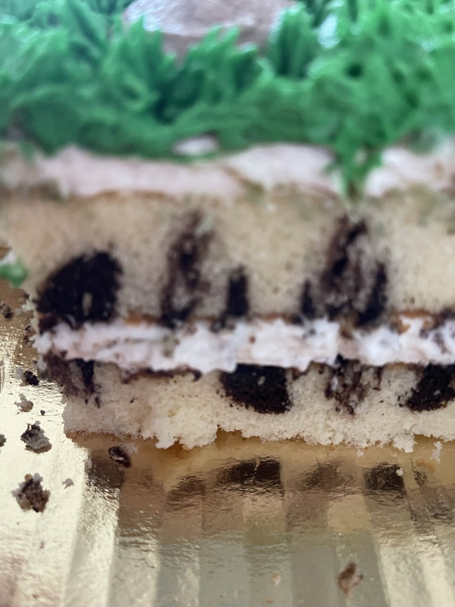 magsinbham's tweet photo. @Publix WHAT IS THIS?!? Definitely not a chocolate cake I ordered.  Someone at the Publix Bakery in Trussville, AL needs to be fired.  They are incompetent AND inconsiderate. I will never order from the bakery ever again ✌🏼 https://t.co/booefp8F6h