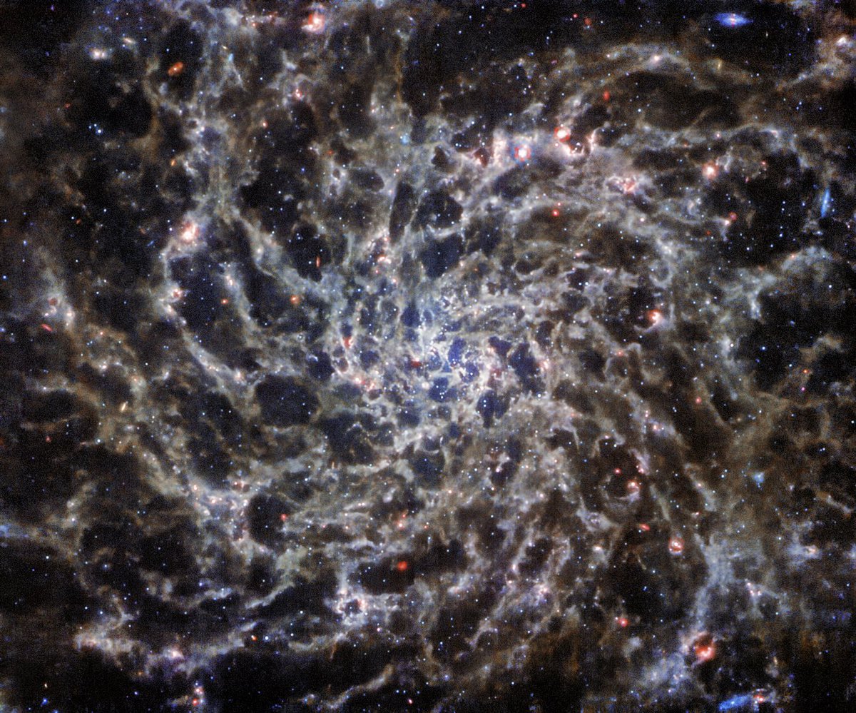 latestinspace's tweet photo. A spiral galaxy seen by NASA’s James Webb telescope 🌀

About 1/3 the size of the Milky Way https://t.co/2h1qaY8mmT