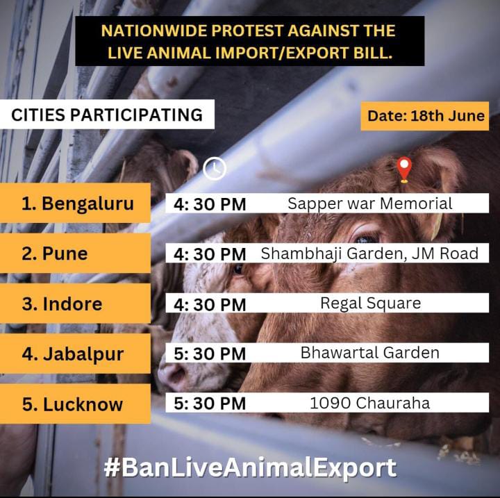 #ban live animalexport