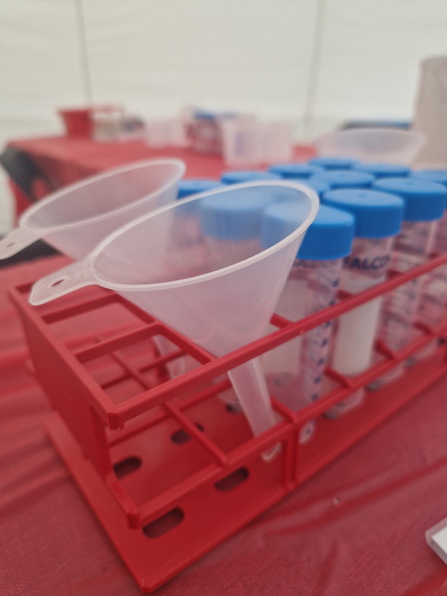 Dr Lindsay Keith tweet media