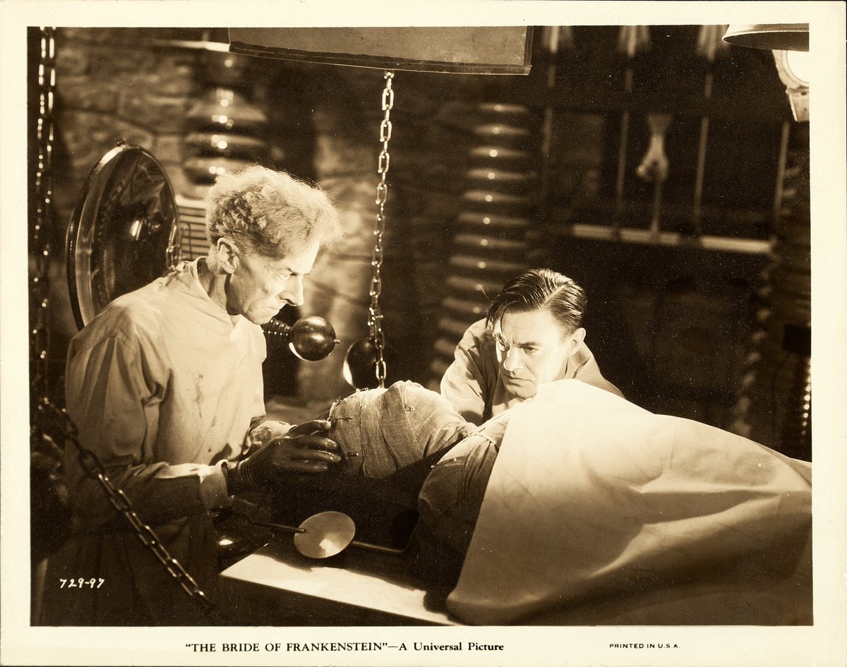 The Bride of Frankenstein (Universal, 1935)
Photo (8' X 10')
.
#TerrorByNight #BrideOfFrankenstein #UniversalMonsters #ElsaLanchester #ClassicHorror #VintageHorror #MonsterKid
.