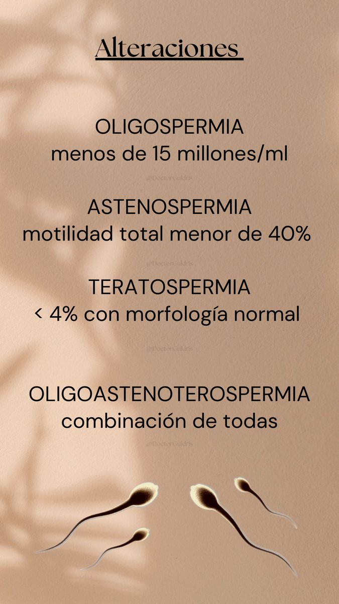 #varicocele #fsh #testosterona #lh #prolactina #seminograma #oligospermia #astenospermia #teratospermia