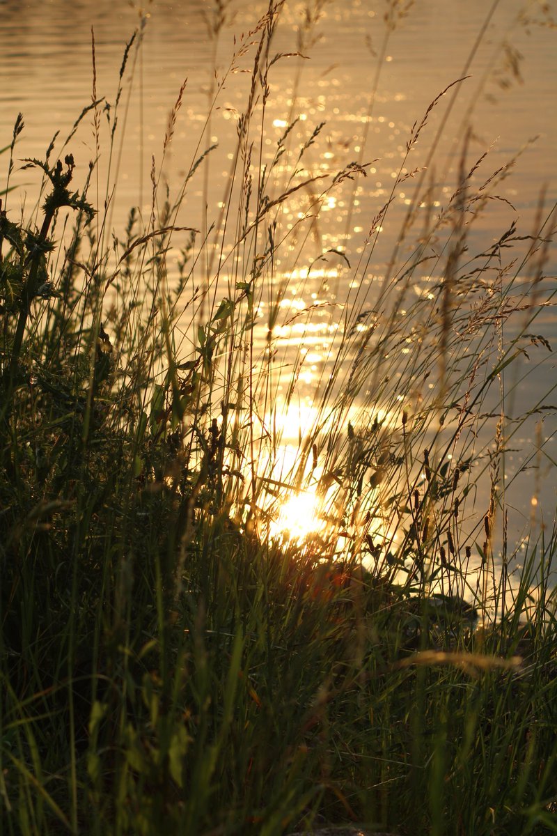 Guten Morgen, wunderschönen Sonntag Euch Lieben ❤️