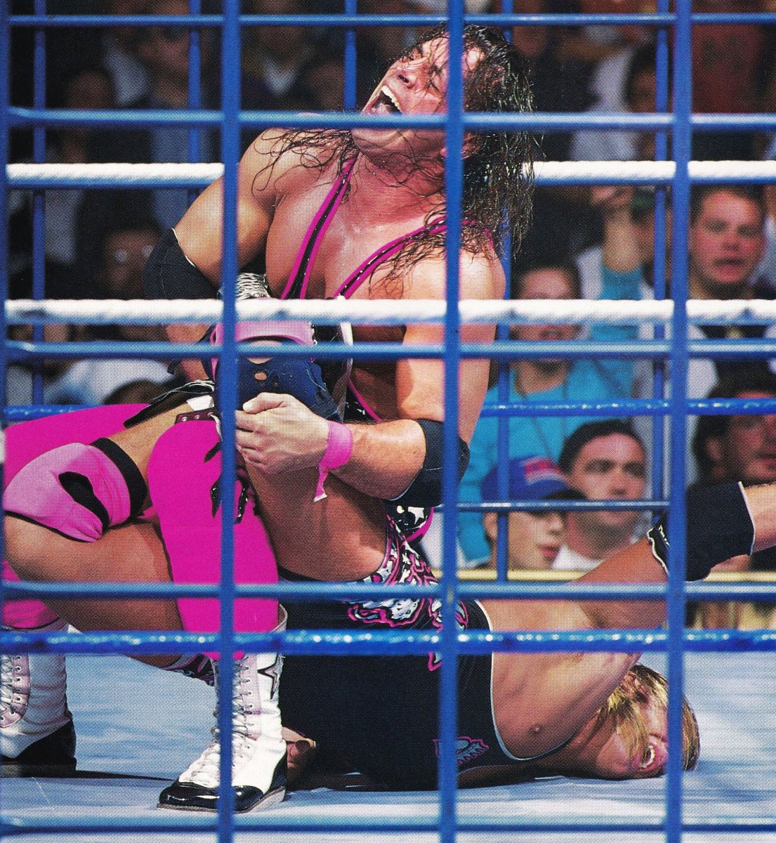 SummerSlam Sunday! Sibling rivalry in a classic cage match at the 1994 PPV. ☀️ #WWF #WWE #SummerSlam #OwenHart #BretHart