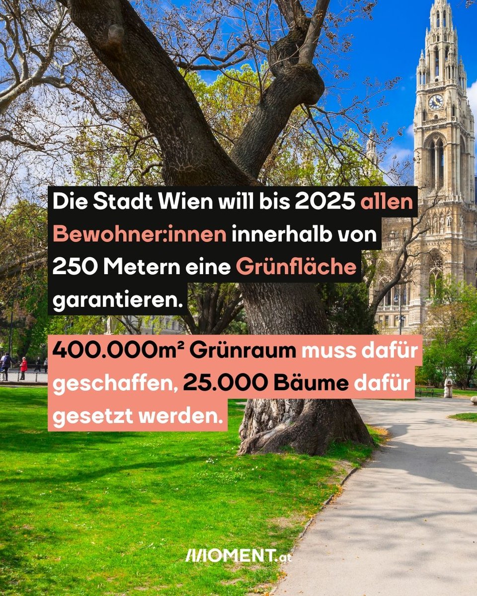 moment_magazin's tweet photo. Der @Stadt_Wien gehen die Gärtnerinnen und Gärtner aus. Die #MA42 findet immer schwerer Personal. Wer wird die Stadt in Zukunft grün halten? Und können gesetzte Ziele ohne ausreichend Person überhaupt erreicht werden?
Wir berichten: https://t.co/n3pCSF2DCP https://t.co/qKuCxQAXO1