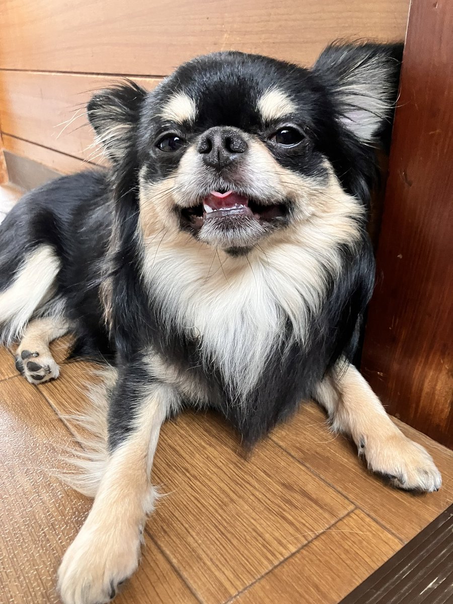 もうすぐ舌でハートができそう👅♥️ https://t.co/4oNY5RfpwJ