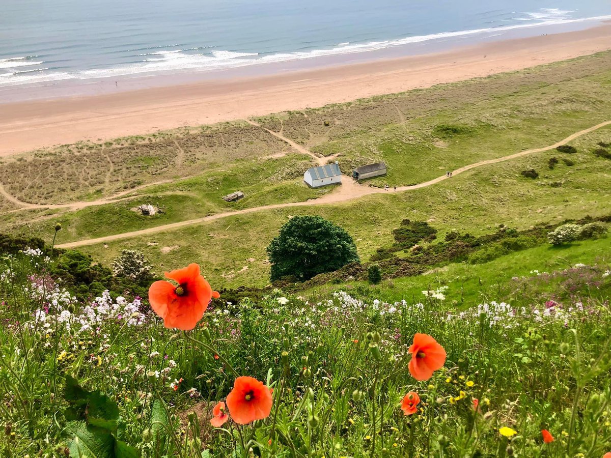 St Cyrus Nature Reserve North of Montrose