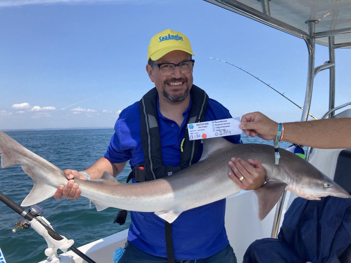 David Mitchell tweet media