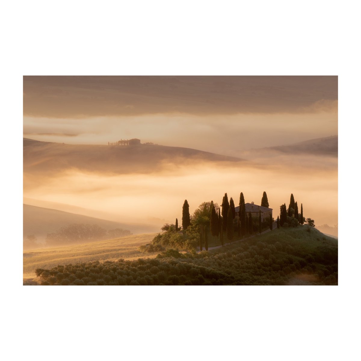 More Tuscan mist and mood

@SonyAlpha @SonyAlphaShots  #bealpha #tuscany #landscapelovers #landscapephotography