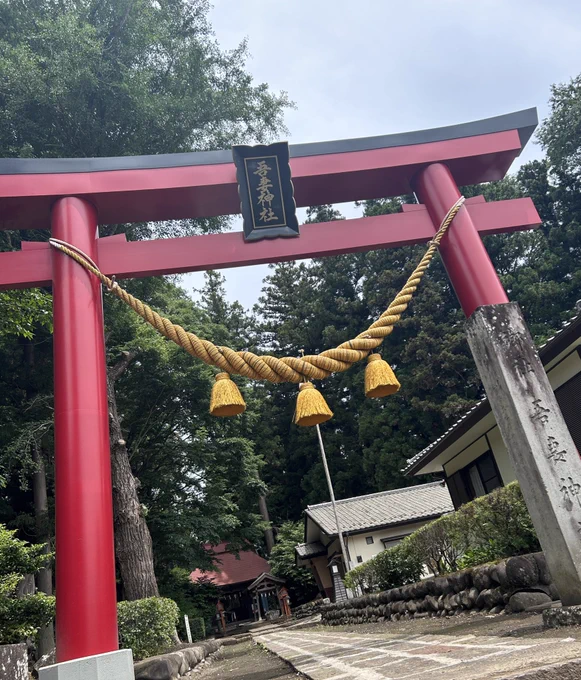 皆に幸あれ! 彫刻が凄い神社ー!