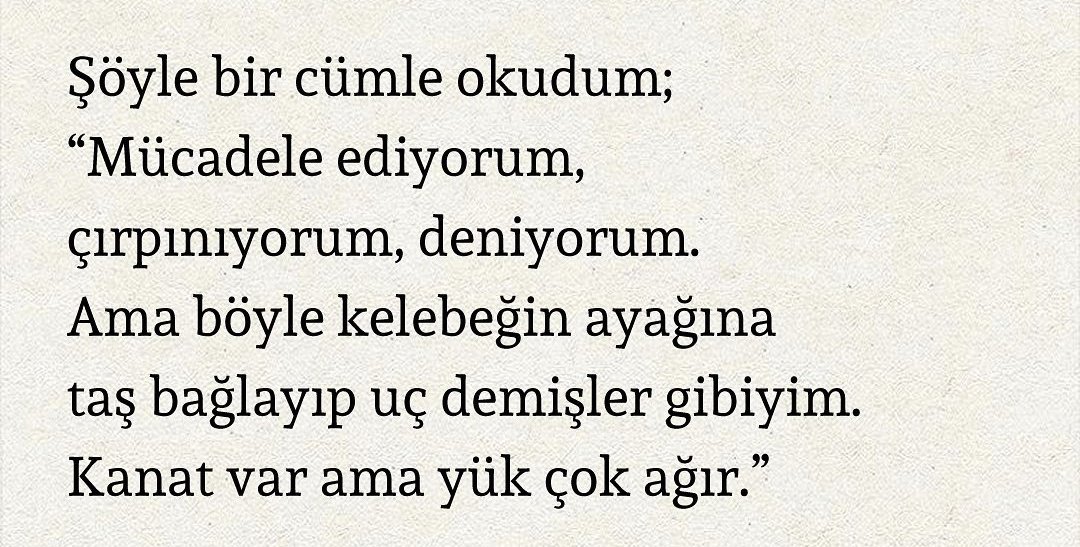 tumblr. (@theistumblr) on Twitter photo 