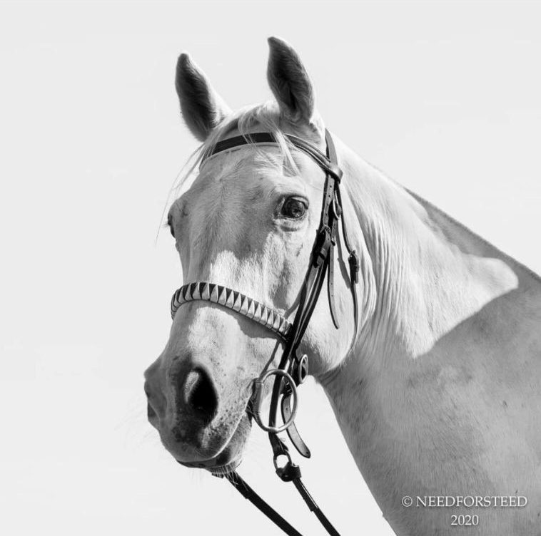 Silverdale Farm on Twitter "The Silverdale Academy are proud to