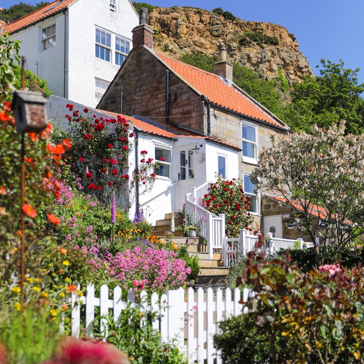 NorthYorkMoors's tweet image. Happy Sunday! 🌼☀️ 

We hope your day is as beautiful and vibrant as this gorgeous view.

📍 : Runswick Bay
📷 : @lisa_forbes7

#NorthYorkMoors #NationalPark #Sunday