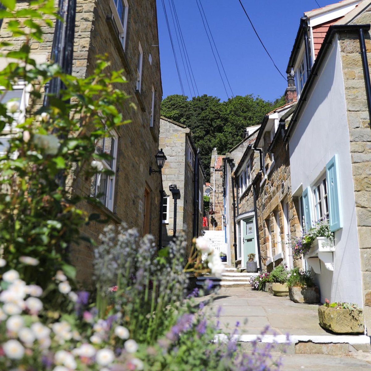 NorthYorkMoors's tweet image. Happy Sunday! 🌼☀️ 

We hope your day is as beautiful and vibrant as this gorgeous view.

📍 : Runswick Bay
📷 : @lisa_forbes7

#NorthYorkMoors #NationalPark #Sunday
