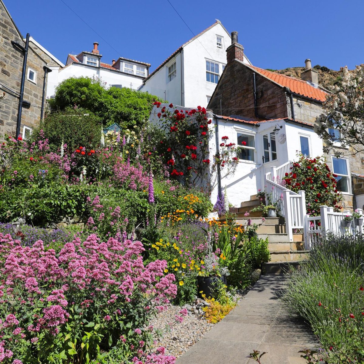 NorthYorkMoors's tweet image. Happy Sunday! 🌼☀️ 

We hope your day is as beautiful and vibrant as this gorgeous view.

📍 : Runswick Bay
📷 : @lisa_forbes7

#NorthYorkMoors #NationalPark #Sunday
