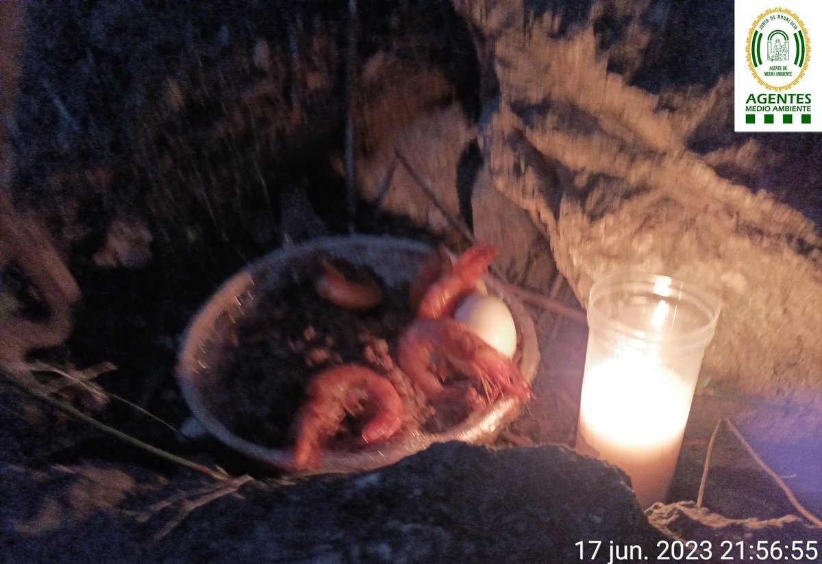 AAMM_And's tweet photo. Los ritos pseudo-religiosos, rituales y ofrendas con el empleo de velas encendidas, suponen un grave riesgo de #incendioforestal.

Anoche se detectó en la provincia de #Granada esta ofrenda con velas, cuya autoría se investiga por poner en riesgo de incendio terreno forestal. https://t.co/USEXzUkDTm