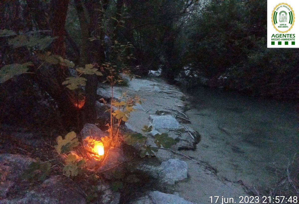 AAMM_And's tweet photo. Los ritos pseudo-religiosos, rituales y ofrendas con el empleo de velas encendidas, suponen un grave riesgo de #incendioforestal.

Anoche se detectó en la provincia de #Granada esta ofrenda con velas, cuya autoría se investiga por poner en riesgo de incendio terreno forestal. https://t.co/USEXzUkDTm