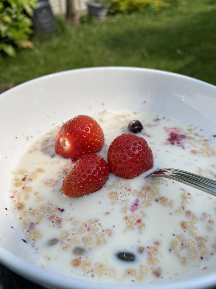 Strawberries from my garden for breakfast today 🍓 #lovemygarden