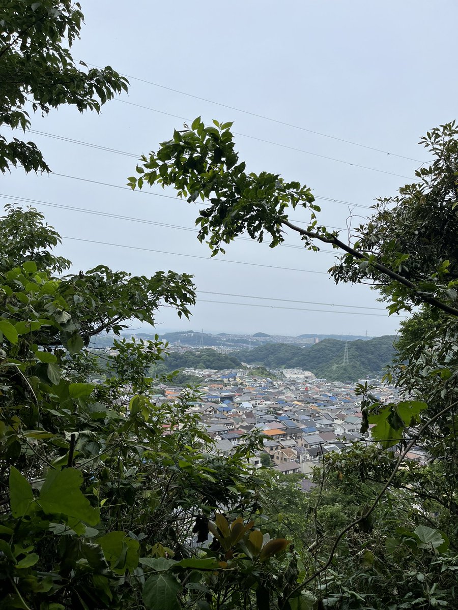 少し時間ができると山に登ってしまう⛰
#休日登山