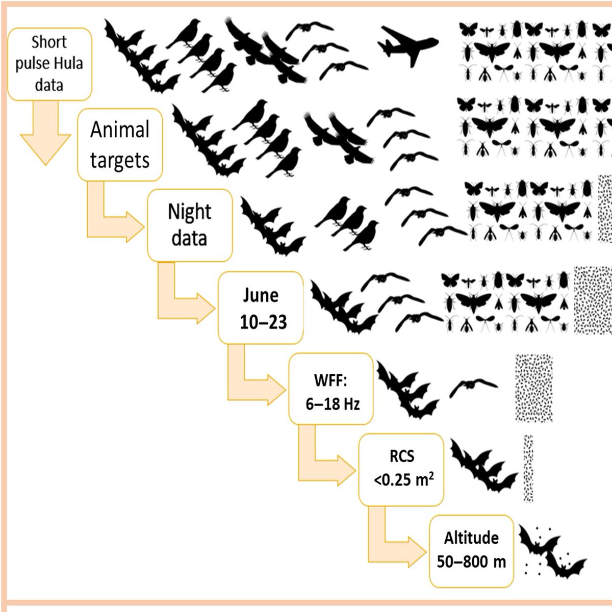 The Bat Lab (@yovelbatlab) on Twitter photo Radar based bat classifier reveals new insight on bat migration
Check out our new paper in <a href="/MethodsEcolEvol/">Methods in Ecology and Evolution</a>
doi.org/10.1111/2041-2…
Great work by Yuval Werber, Hadar Sextin and Nir Sapir
#Radar #bats #migration Radar based bat classifier reveals new insight on bat migration
Check out our new paper in <a href="/MethodsEcolEvol/">Methods in Ecology and Evolution</a>
doi.org/10.1111/2041-2…
Great work by Yuval Werber, Hadar Sextin and Nir Sapir
#Radar #bats #migration
