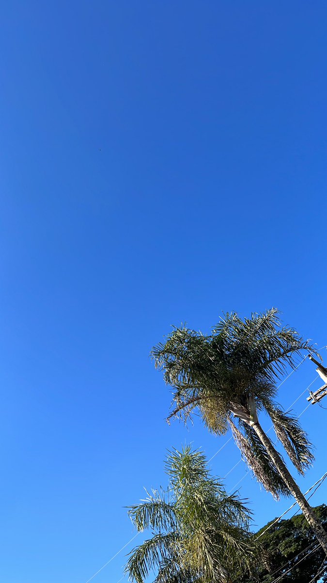 Cristina Xavier tweet media