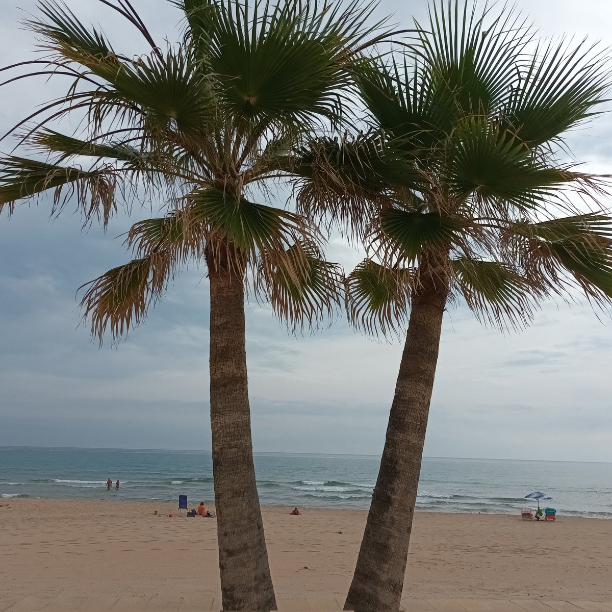 Bon dia a tothom des de la Platja de Miramar (La Safor) València.