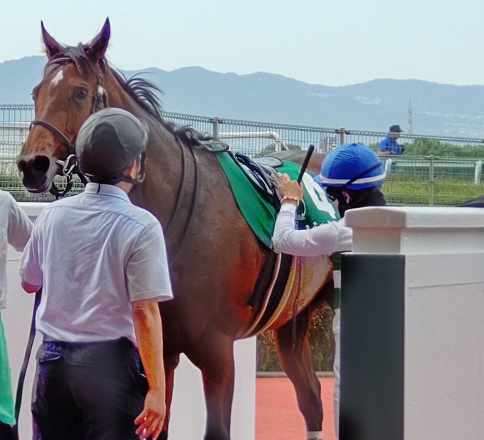 競馬 実使用レースゼッケン キセキ