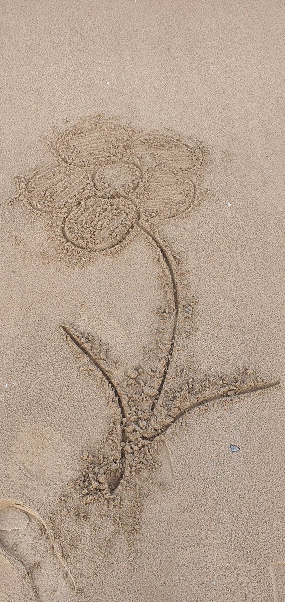 Oops!!! Tide came in whilst talking to <a href="/LilleyMitchell/">Lilley Mitchell</a> on <a href="/BBCOxford/">BBC Oxfordshire</a> this morning.
Found a flower on the beach 😉😁