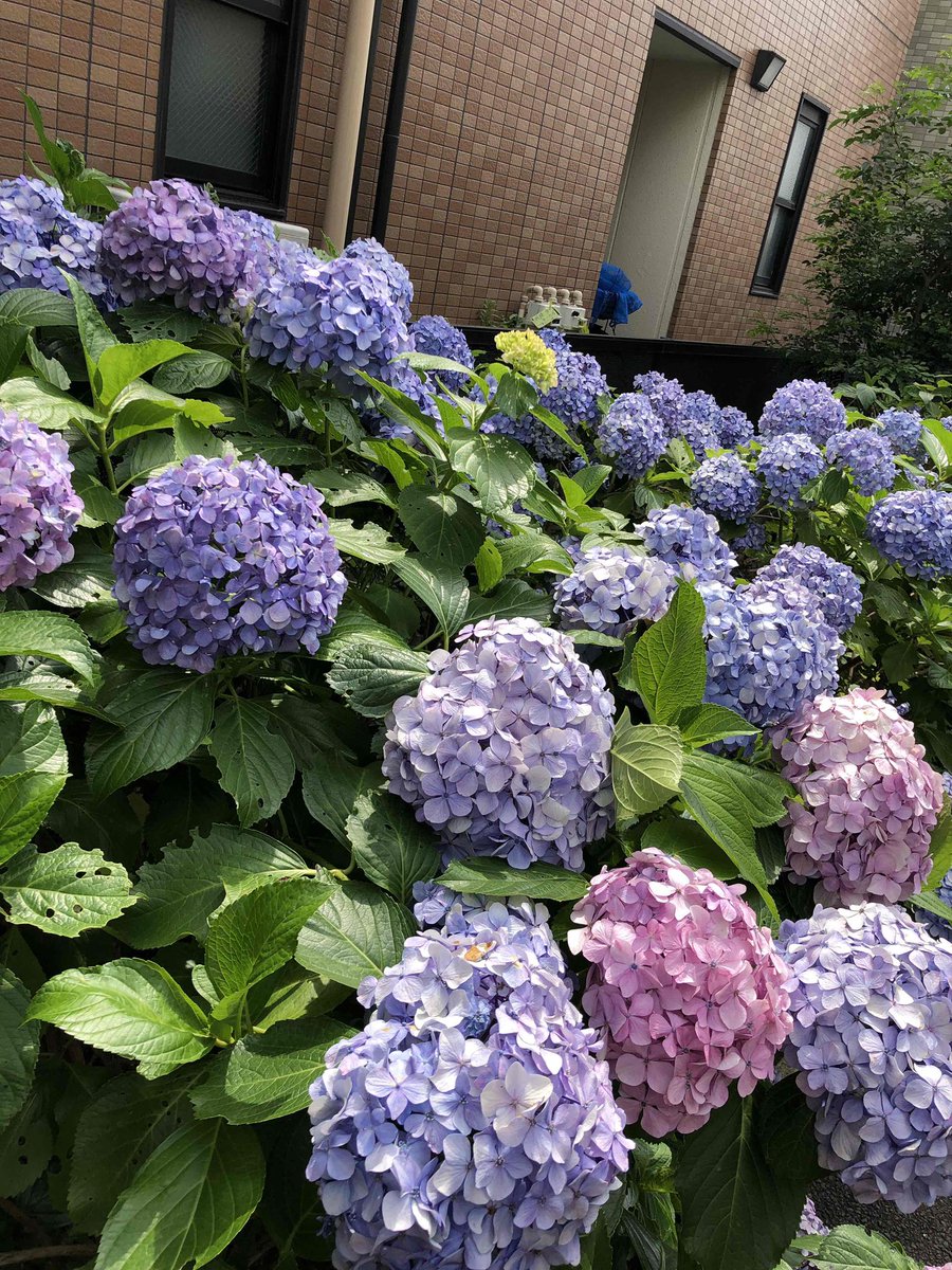 EbiRunner's tweet image. やってんぞぉっ‼️
天翔のGroup Power45、GroupFight45からのぉ、久々に夫婦ラン😆
からのブラサカ観戦⚽️
シマちゃん、素晴らしいプレイヤーでした‼️
将来日の丸を背負ってもらいたいね😍
からのぉ、ビールナウ🍺
リア充満点な日曜日💯

#天翔 
#grouppower 
#groupfight 
#ブラサカ 
#シマちゃん