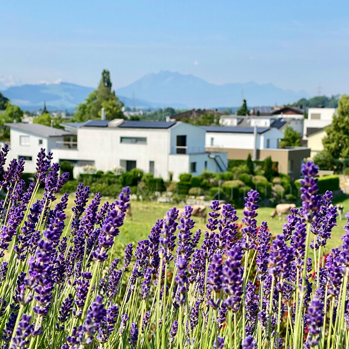 ᒍᑌᒪEᔕ Wachner 🖋 tweet media