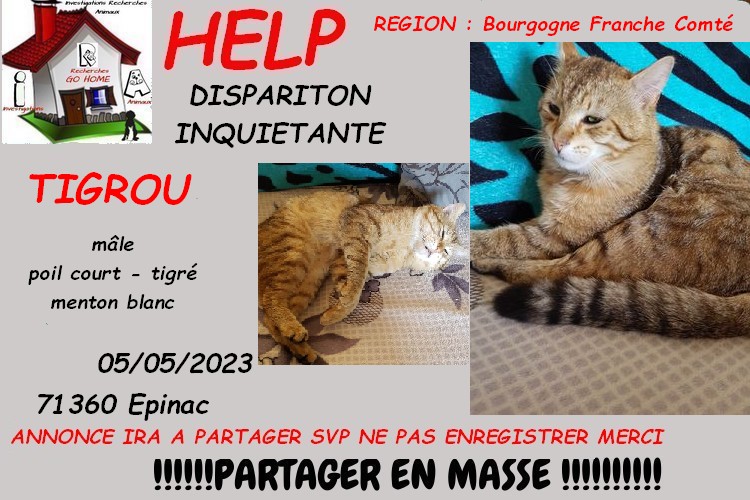 Kate23170's tweet image. merci de RT pour nous aider a retrouver TIGROU disparu a Epinac 71360 depuis le 05/05/2023 svp si infos : 06 83 51 23 90

CONTACT FB : facebook.com/mimi.piola

ou MP à @Kate23170