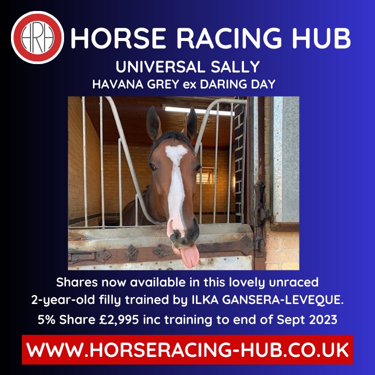 Only 5 shares available in UNIVERSAL SALLY, unraced 2YO filly by HAVANA GREY ex DARING DAY. Dam has 100% record! Offered by UNIVERSAL STUD & trained by @GanseraLeveque 5% Share £2,995 inc buy in & training to end of Sept 23. See 👉 horseracing-hub.co.uk/horse/universa…