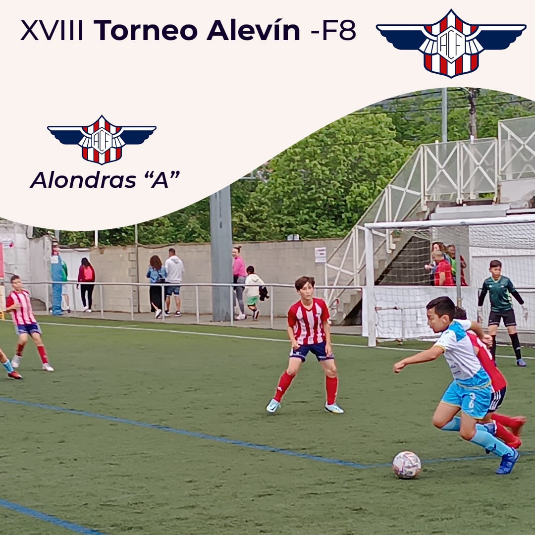 ALONDRAS_C_F's tweet photo. Primeiros equipos en debutar no XVIII TORNEO @ALONDRAS_C_F, xa xogaron @RapidodeBouzas, @RapidodePereiro, @scdsalcedo... https://t.co/zxWUAOYv5a