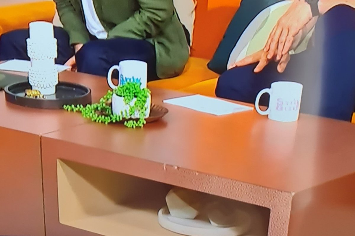 Party Perfection tweet media