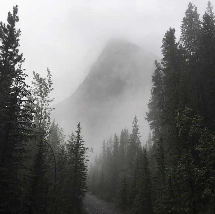 elemmiressoul's tweet image. cool weather.